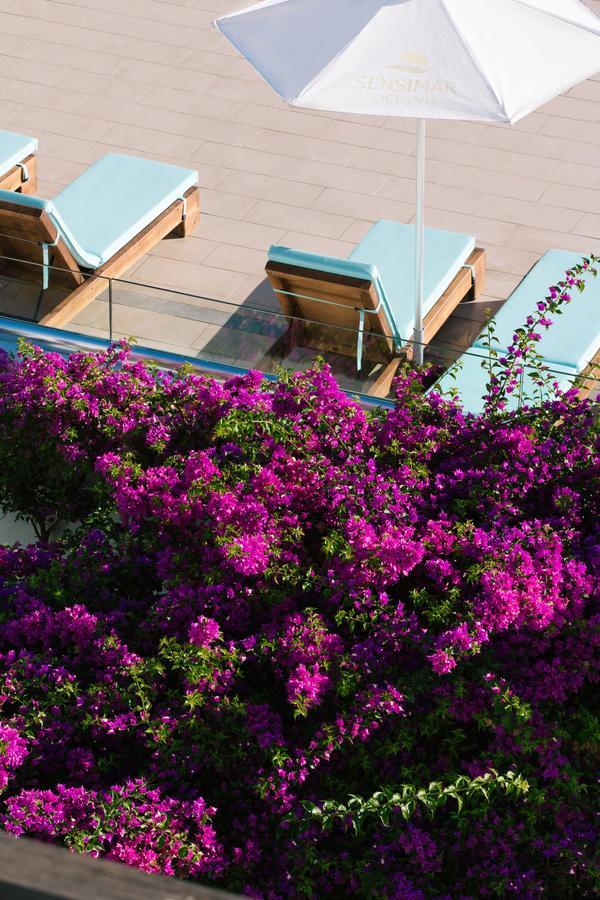 Oceanis Beach & Spa Resort Psalidi  Exteriér fotografie